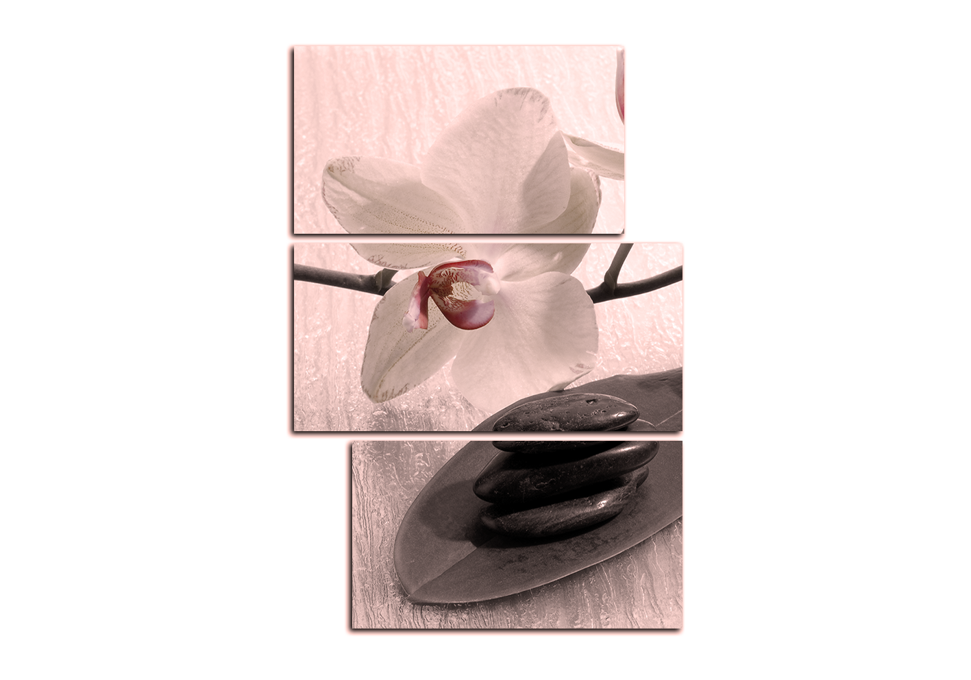 Obraz na plátně - Květy orchideje - obdélník Obraz na plátně - Květy orchideje - obdélník